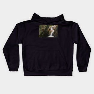 Texas Falls Kids Hoodie